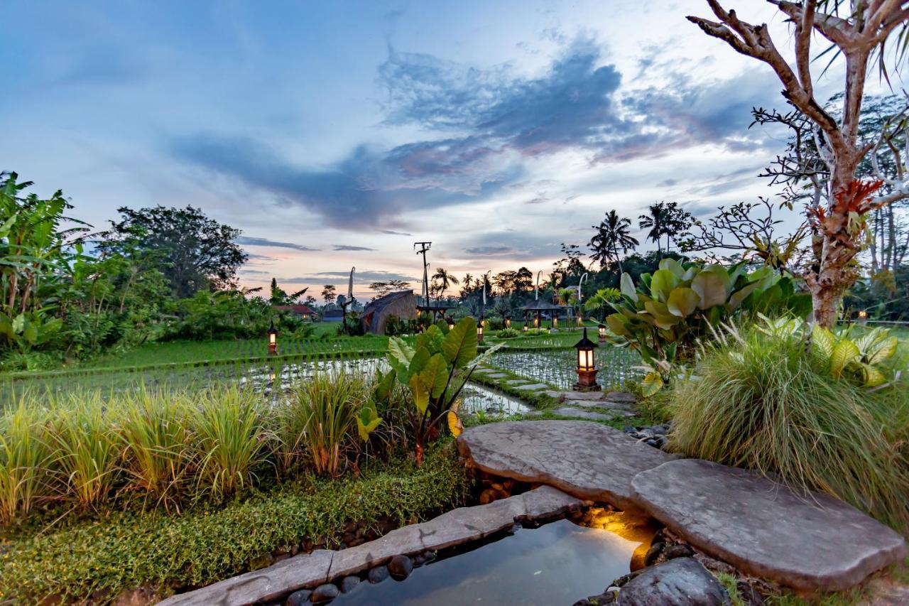 Anumana Village Ubud Eksteriør bilde